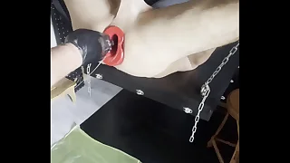 240 fisting porn videos